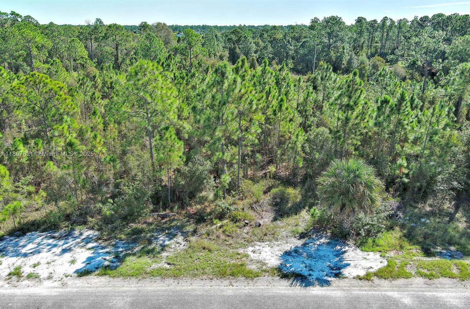 LEHIGH ACRES - Land