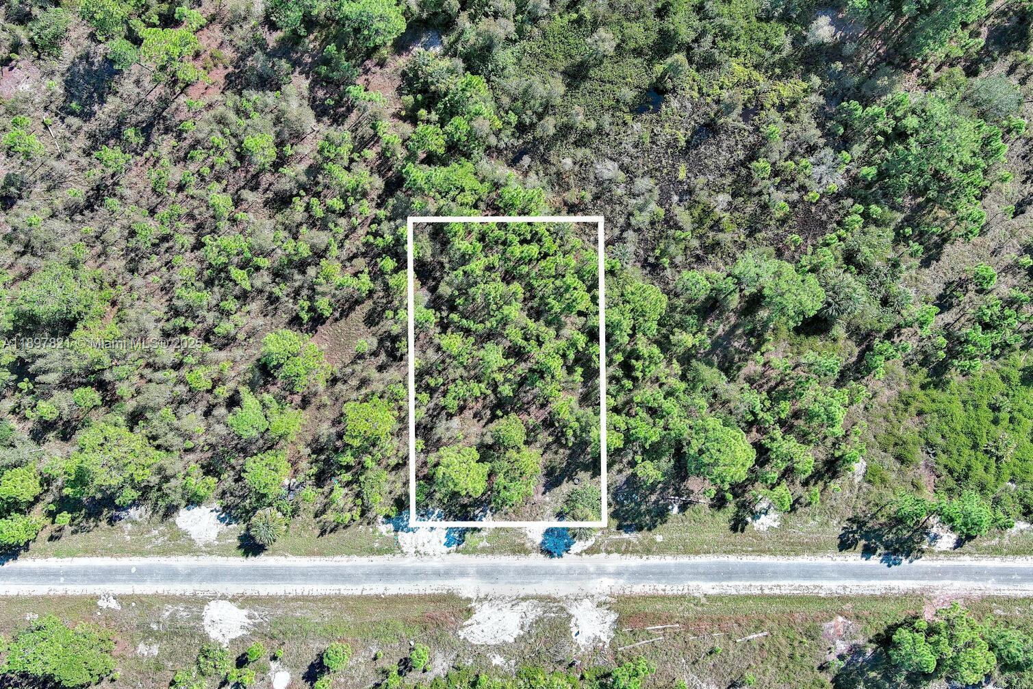 LEHIGH ACRES - Land