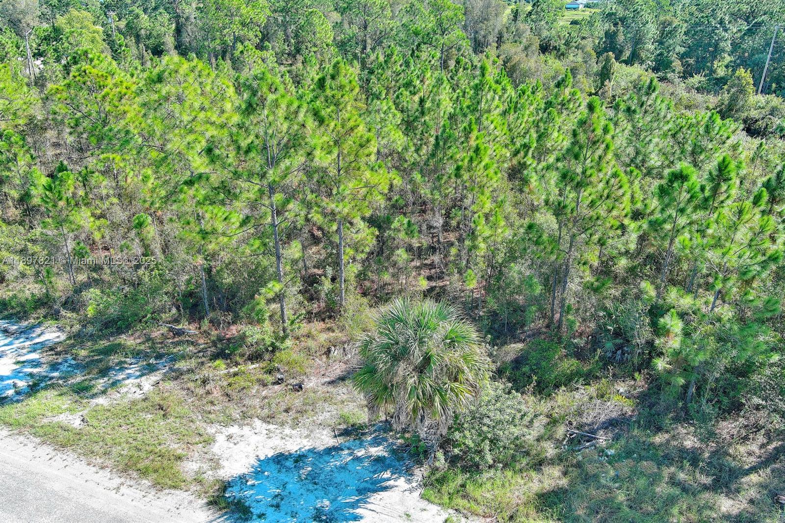 LEHIGH ACRES - Land