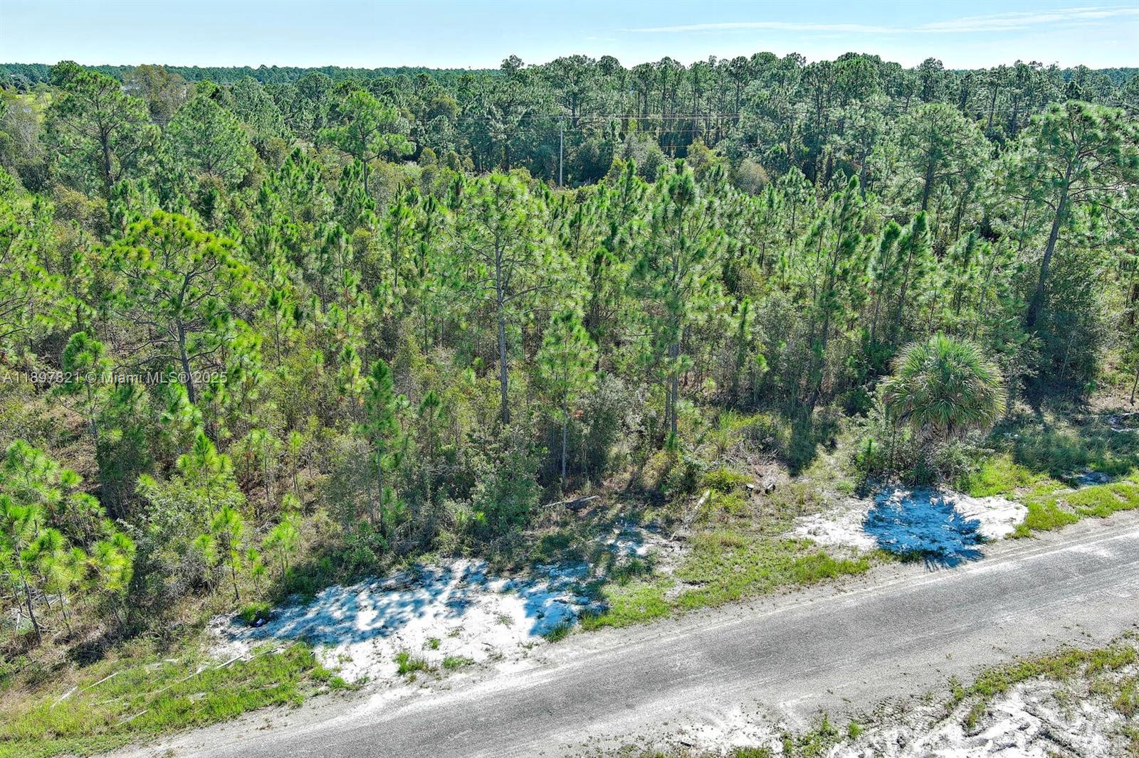 LEHIGH ACRES - Land