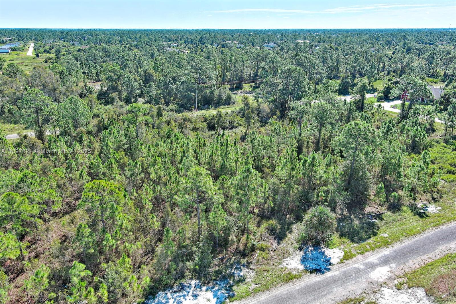 LEHIGH ACRES - Land