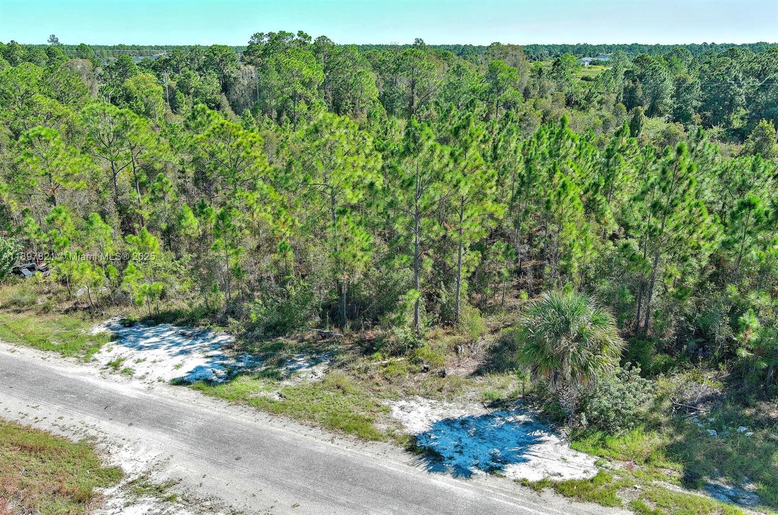 LEHIGH ACRES - Land