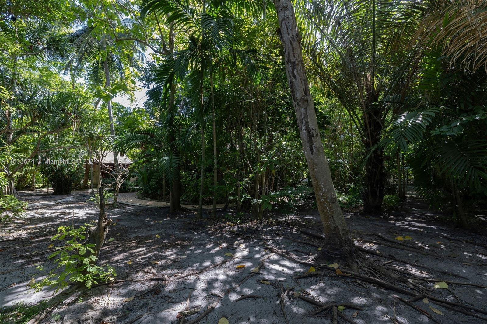 HAMMOCK PARK - Residential
