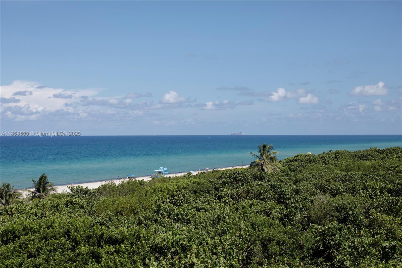 8701 COLLINS AVE CONDO - Residential