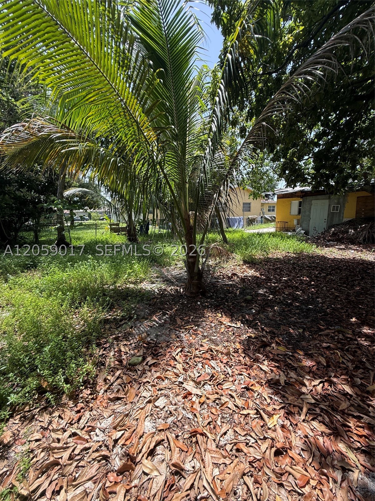 PINEWOOD PARK EXTENSION - Land
