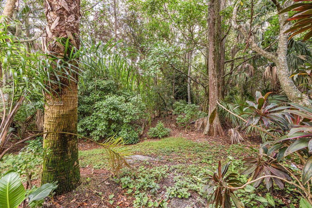 SAWGRASS EXCHANGE PLAT - Residential