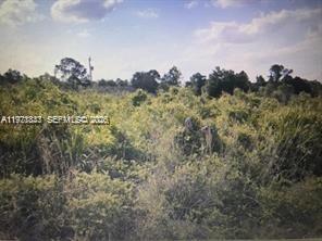 Great opportunity to build your dream home in a highly desirable location of Lehigh Acres. Located close to schools, shopping, airport, I-75, restaurants and beaches. These lots are selling fast and there is a limited supply.