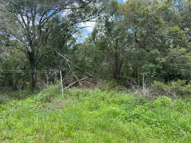 MONTURA RANCH - Land