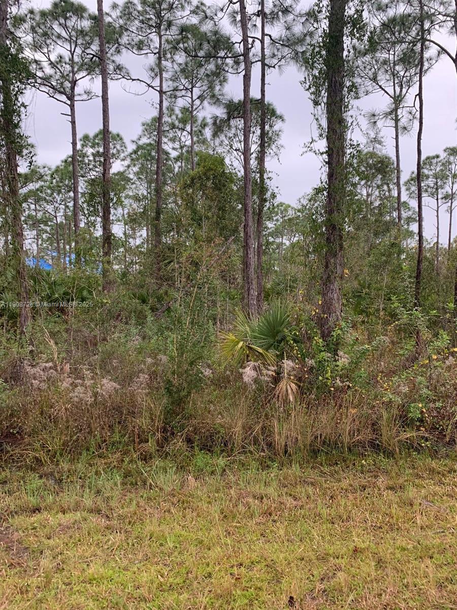 3 LOT TOGETHER IN THE FAST-GROWING TROPICAL GULF ACRES AREA. DON'T MISS THE OPPORTUNITY TO BUILD YOUR DREAM HOME. CLOSE TO I-75.