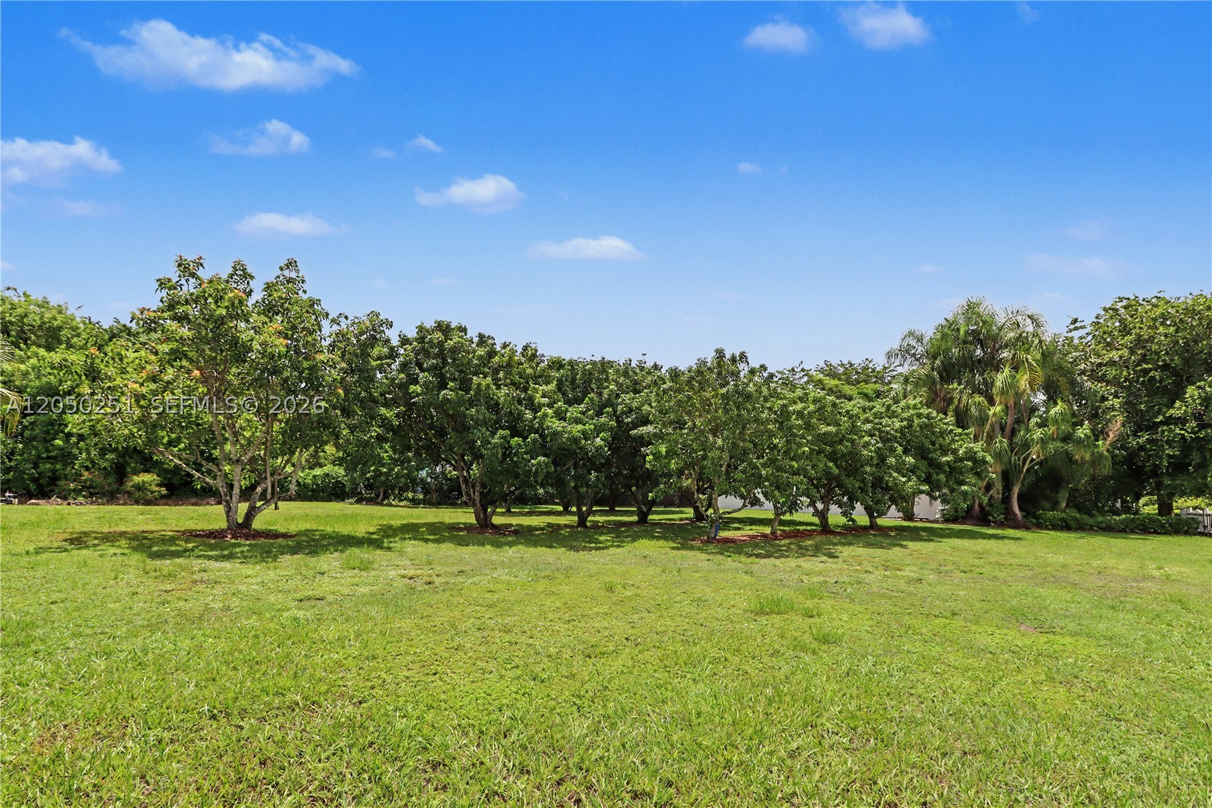 KINGMAN ESTATES - Residential
