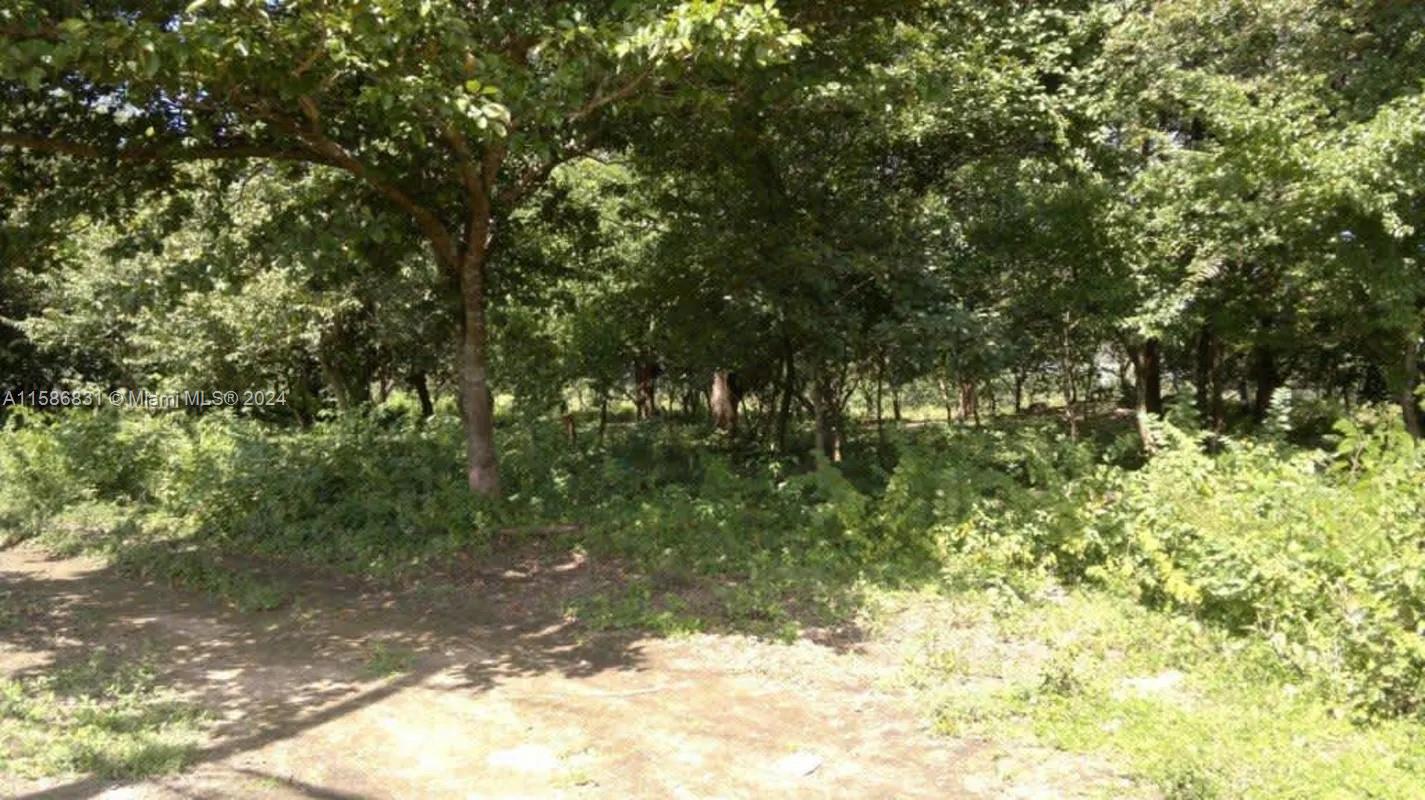 Located in Liberia, Guanacaste, 6 km from the city of Liberia,
on the way to the Daniel Oduber Quirós Airport, between the Buildings of the
Tránsito and La Liga de la Caña 4Km from the airport and 2Km from
NYA COSTA RICA tourism project.
Area: 36 Hectares 841.90m2.=360.841.009m2.
Ideal for Real Estate or Agricultural development.
USE OF LAND: IT IS Generic, meaning it is authorized for everything.
as long as there is no regulatory plan (there is none) and in the meantime
remain valid..
IMPORTANT: PURCHASE OPTIONS ARE HEARD in the form of terms, payments, direct financing, etc. Even evaluate receives part of payment for properties such as warehouses, preferably rented condominiums