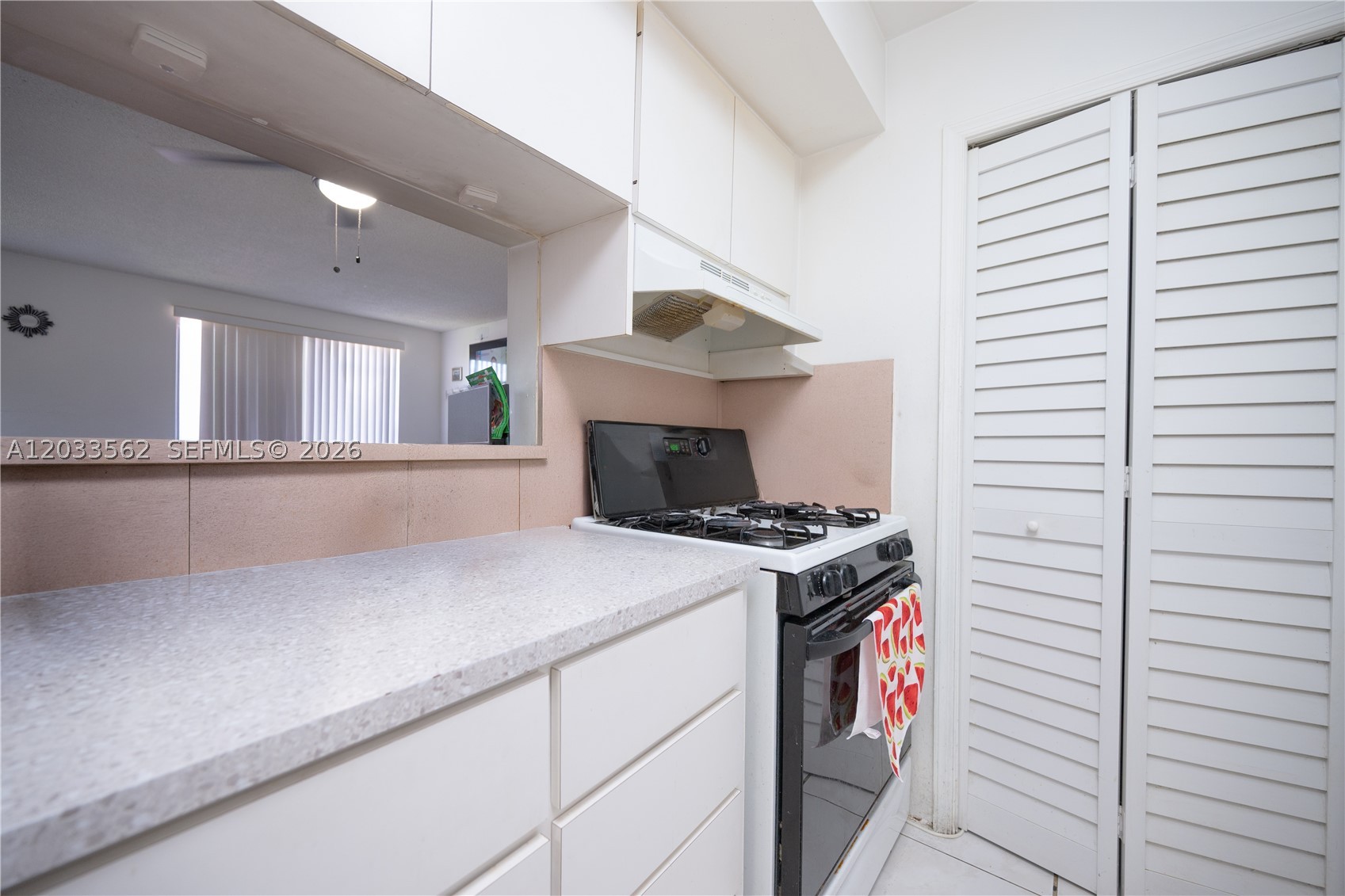 WESTLAND PLAZA CONDO - Residential