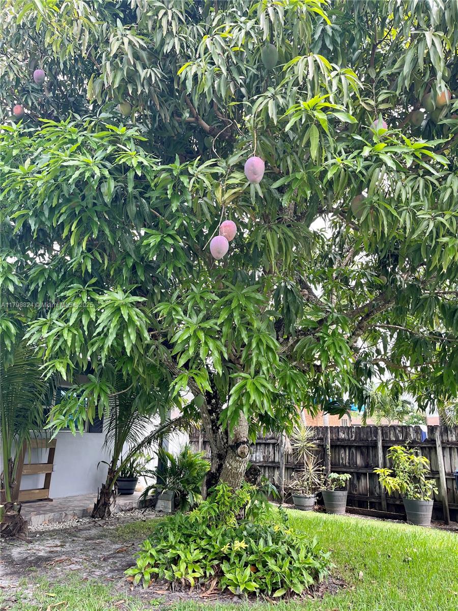 CORAL VILLAS REV - Residential
