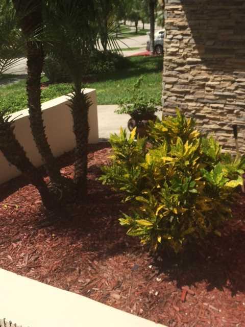 OLD CUTLER COMMON UNIT 2 - Residential