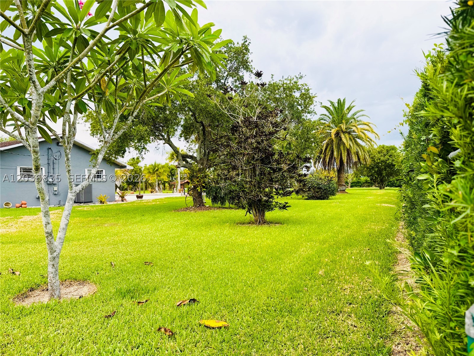 UNPLANTE LAND - Residential