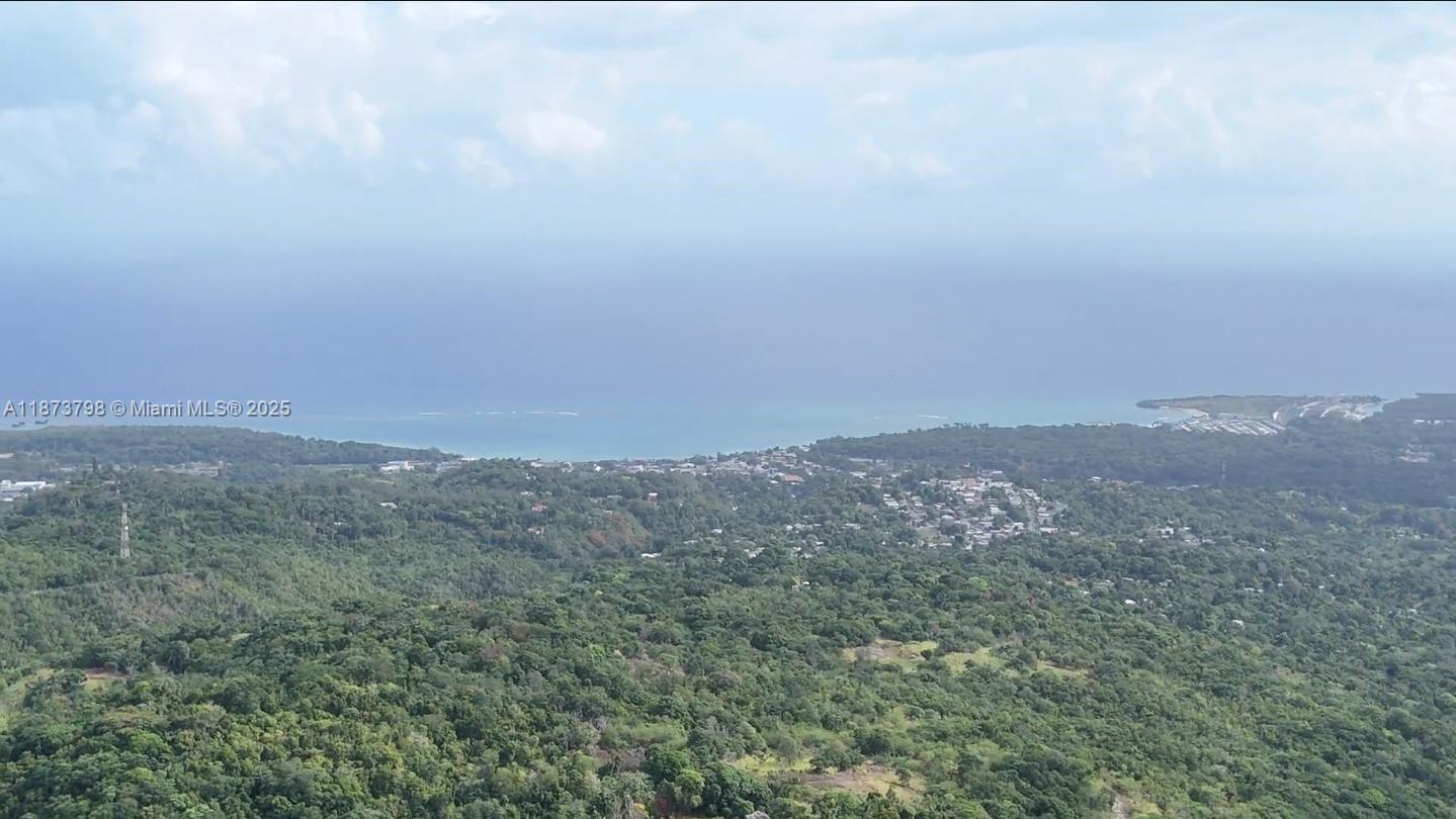 Discover an extraordinary investment opportunity in Jamaica's most coveted tourism corridor. This exceptional 245-acre estate presents a rare chance to acquire prime development land with unparalleled natural assets & strategic positioning along Jamaica's renowned North Coast tourism belt.

The property boasts a breathtaking 180-degree panoramic ocean vista from Ocho Rios to St. Ann's Bay, providing unobstructed Caribbean Sea views commanding premium rates in luxury hospitality. The estate's diverse topography includes pristine palms, exotic orchids, a natural river, waterfall, & two freshwater springs producing exceptional drinking water.

Jamaica's North Coast continues to see strong tourism growth & increasing demand for luxury accommodations & exclusive residential properties.