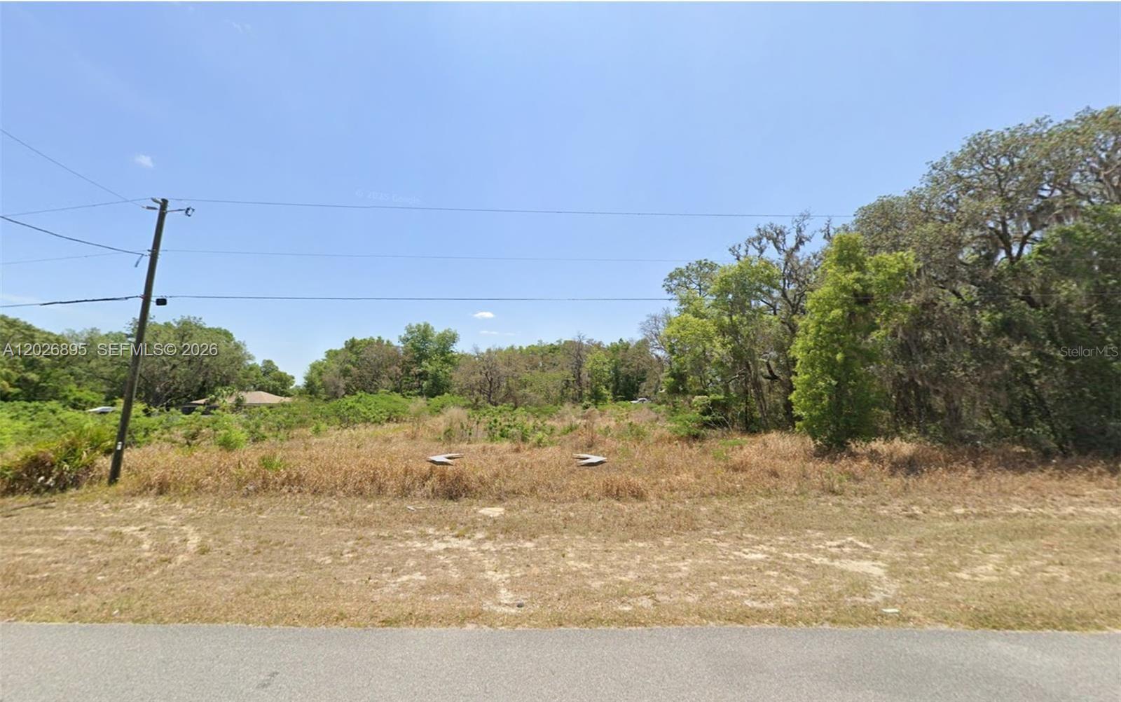 SILVER SPRINGS SHORES UNIT - Land