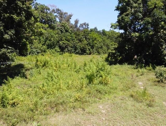 EVERGLADES SUGAR & LAND - Land