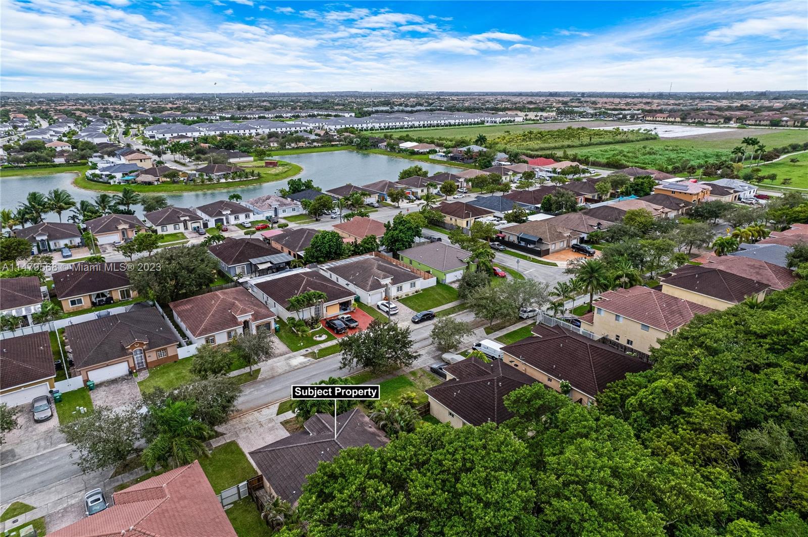 SILVER PALM LAKE - Residential