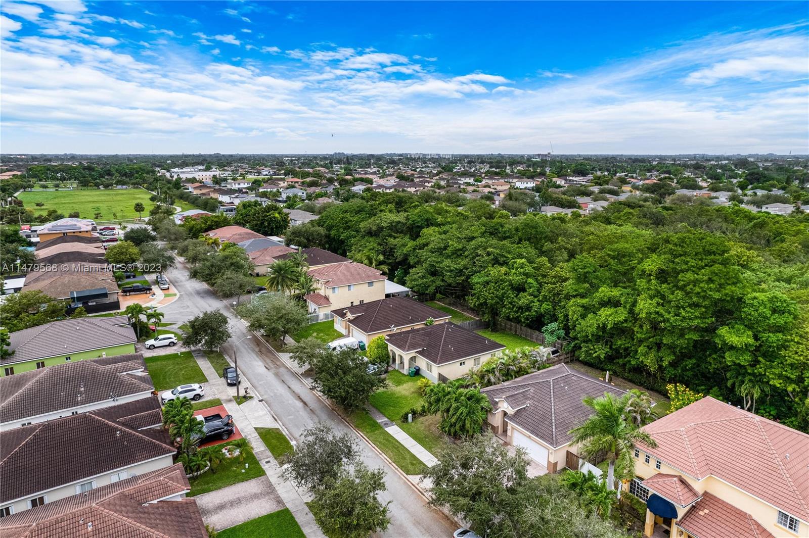 SILVER PALM LAKE - Residential