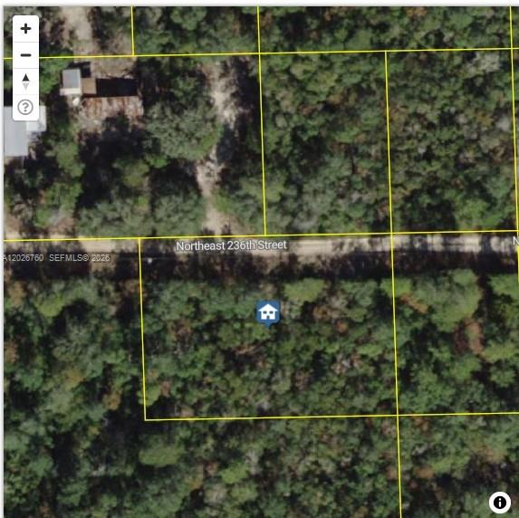 OCALA NATIONAL FOREST CAMP - Land