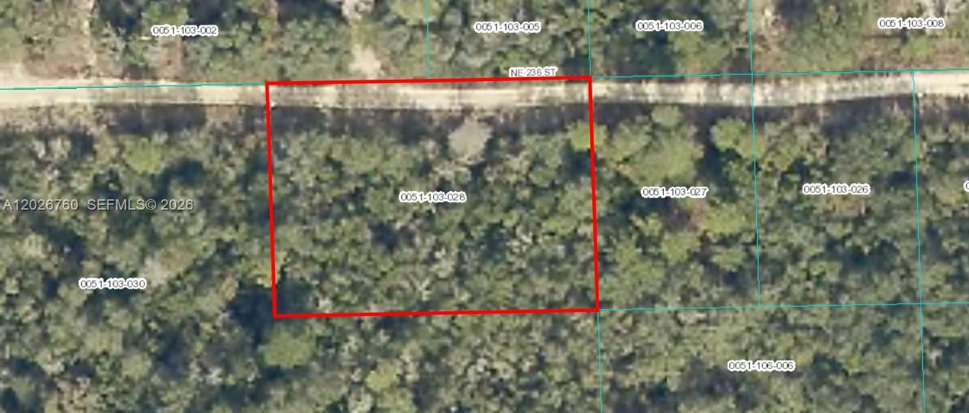 Looking for land with nature, peace, and privacy? This lot on NE 236th St in Fort Mc Coy (near OCALA) is ready for your vision, whether you're planning to build or hold as an investment! The BEST priced .43 acre piece of residential vacant land to create your own custom home in the Ocala National Forest subdivision. Zoned R-4 allowing you different options to either build a home, or place a mobile home or modular home on the property. Close to Ocala, Gainesville, Ocala National Forest, lakes and springs. NO HOA, bring your toys and enjoy the beautiful nature views!