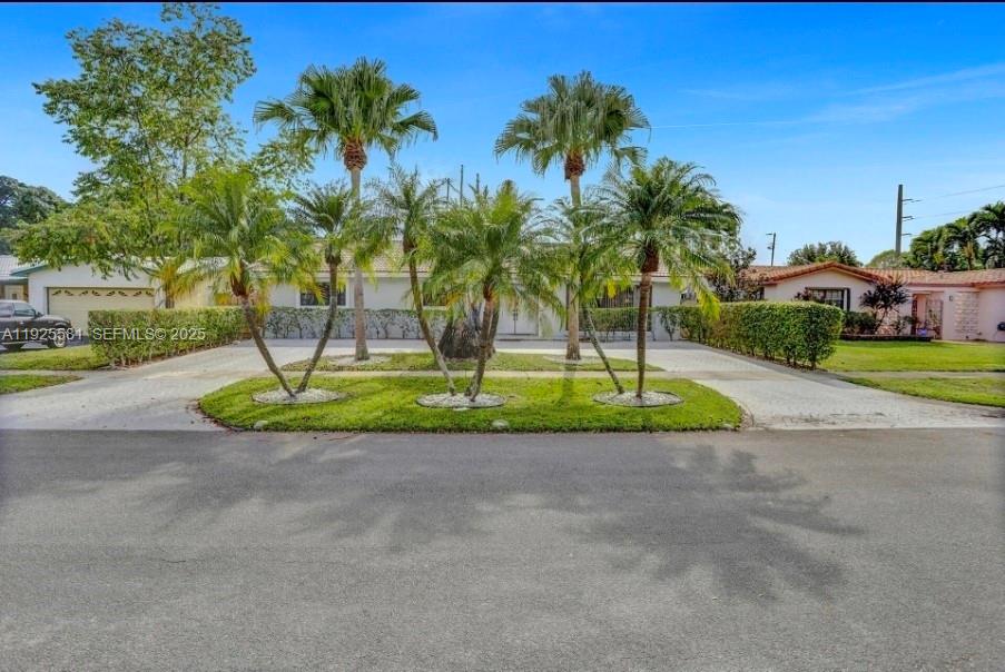 HOLLYWOOD HILLS - Residential