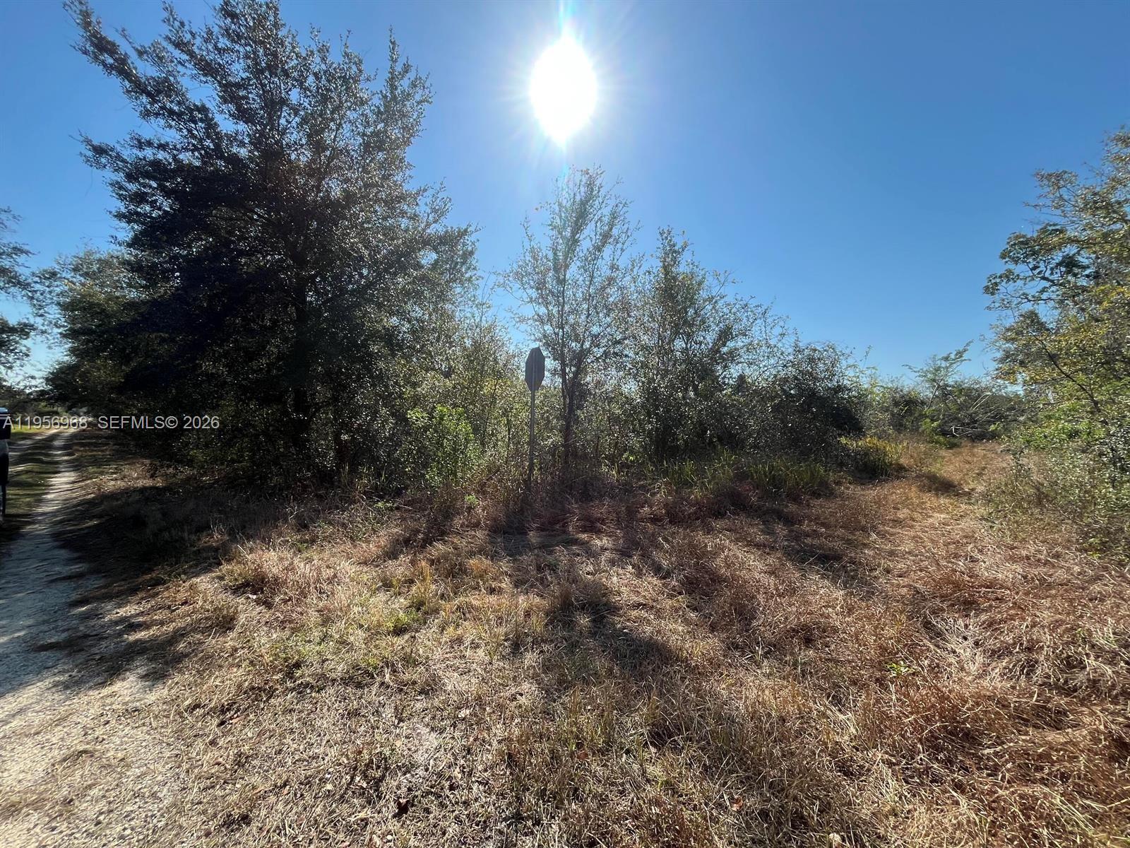 This 0.234-acre vacant parcel is located in the sought-after Leisure Lake community of Lake Placid, Florida. Offering excellent potential for builders, investors, or first-time buyers, the property is ideal for new construction or long-term investment. Conveniently positioned with easy access to both Florida coasts, the lot is just a short drive from schools, shopping, dining, and a variety of recreational amenities.