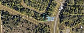 Oversized Pie-Shaped Lot with Greenbelt Privacy in LaBelle Great opportunity to own this oversized pie-shaped residential lot located in Banyan Village. This unique property offers added space and flexibility for your future home design, with a desirable layout that provides extra room in the rear of the lot. Enjoy additional privacy with a greenbelt located directly behind the property no rear neighbors and no future development, creating a peaceful and natural setting. Situated in a growing area of LaBelle, this lot is ideal for building your dream home or investing for the future. Conveniently located near local amenities, schools, and with easy access to surrounding areas. A rare find offering both space and privacy in a desirable location.