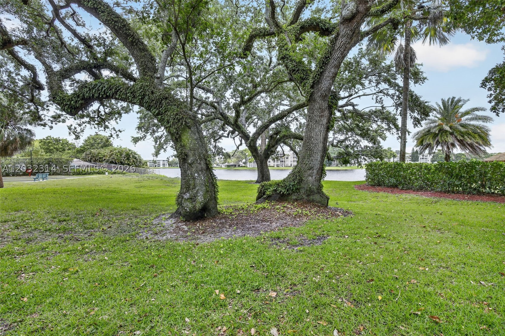 SABAL PALM - Residential