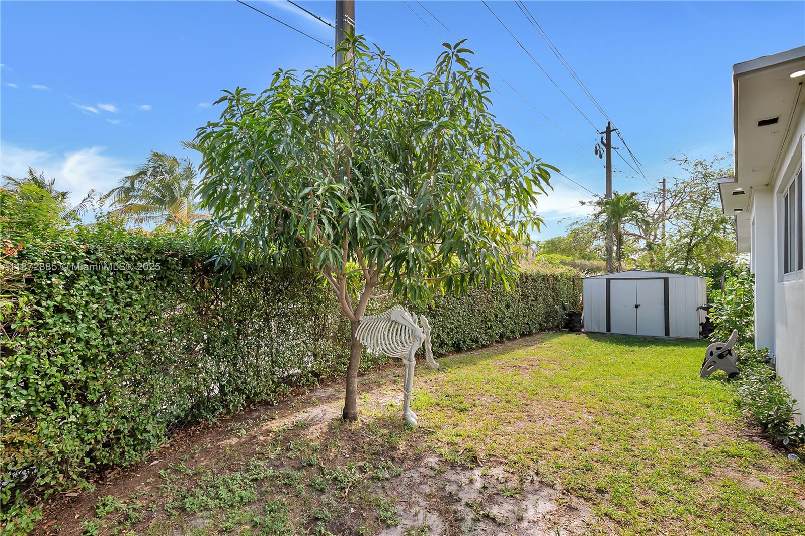 SOUTH VEDADO - Residential Lease