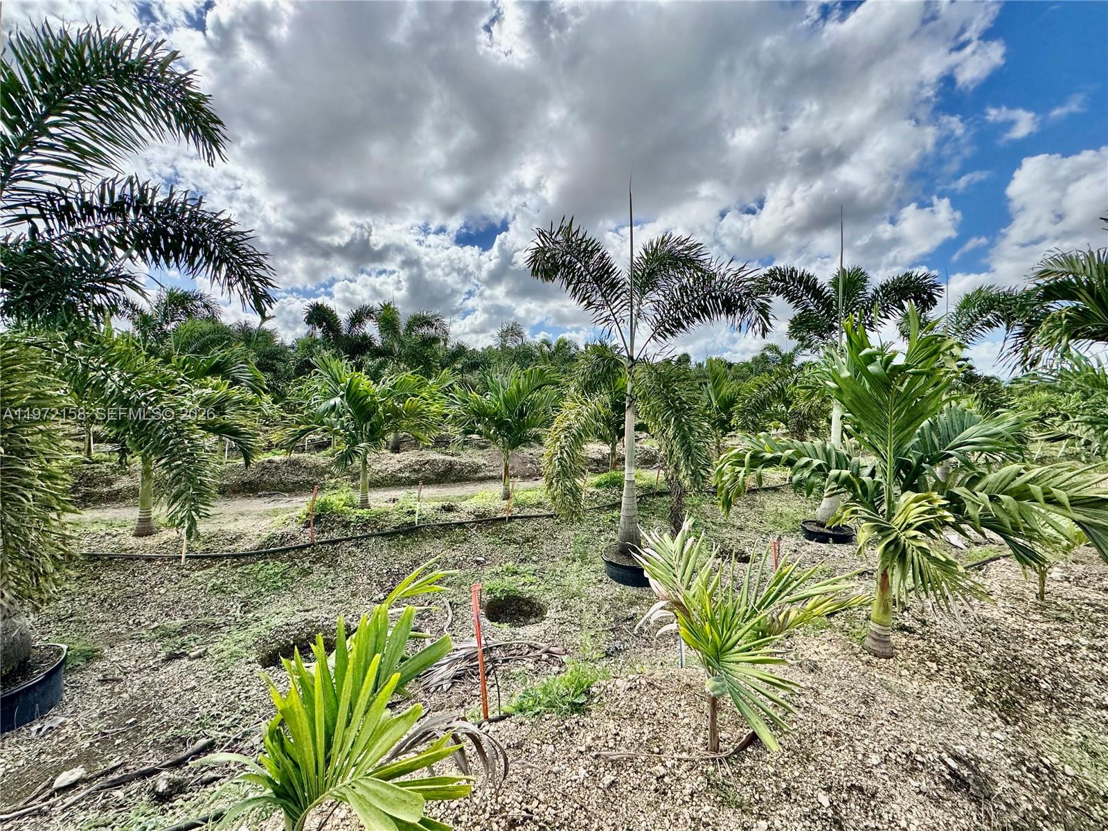 The Redland - Land