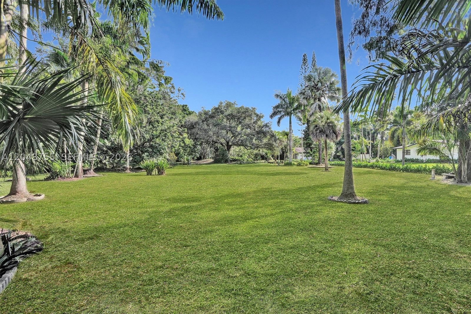 SOUTH WEST RANCHES - Land