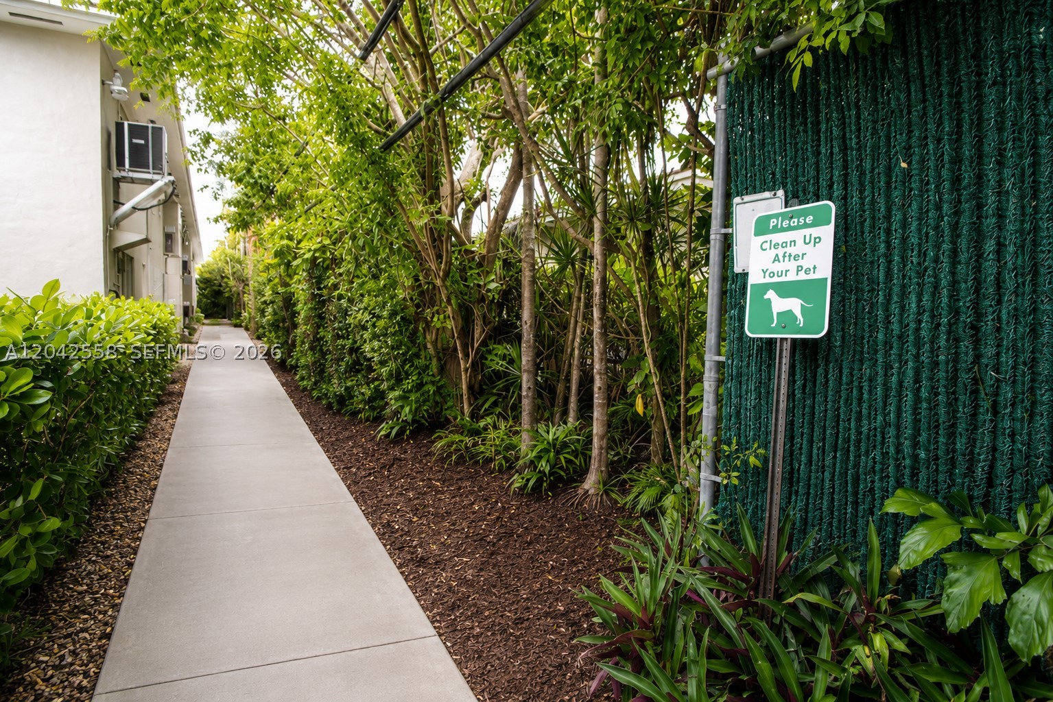 EDGEWATER OF CORAL GABLES - Residential