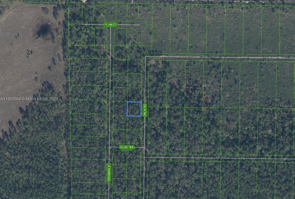ORANGE BLOSSOM UNITS 10 - Land
