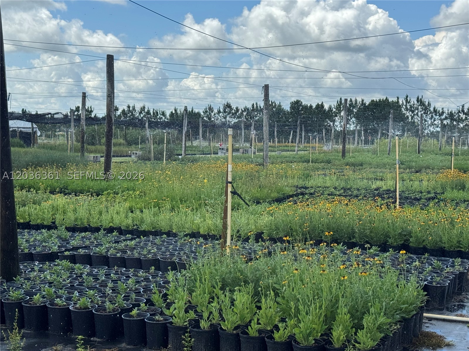 Rural Agricultural Land - Land