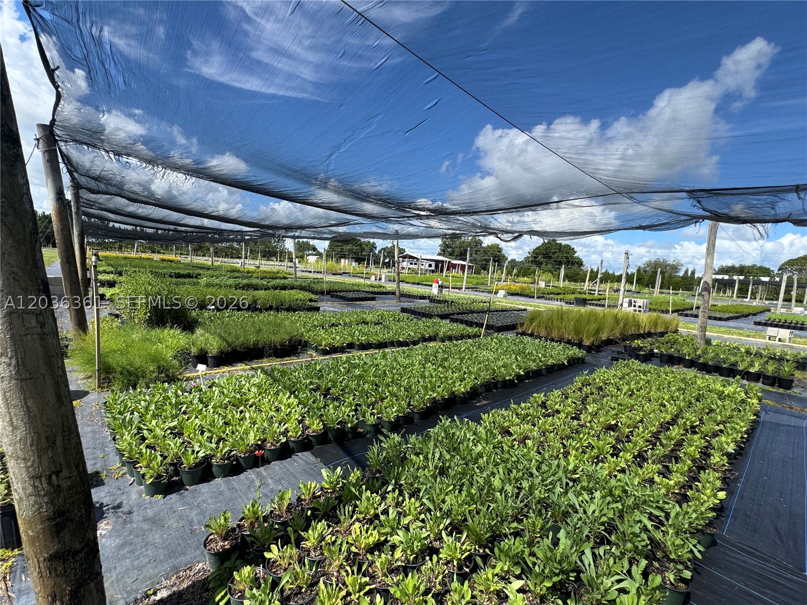 Rural Agricultural Land - Land