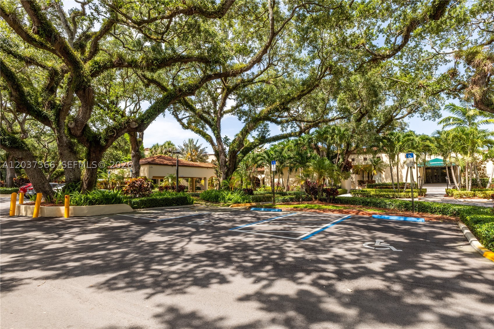 ORCHID TREE CONDO THREE - Residential