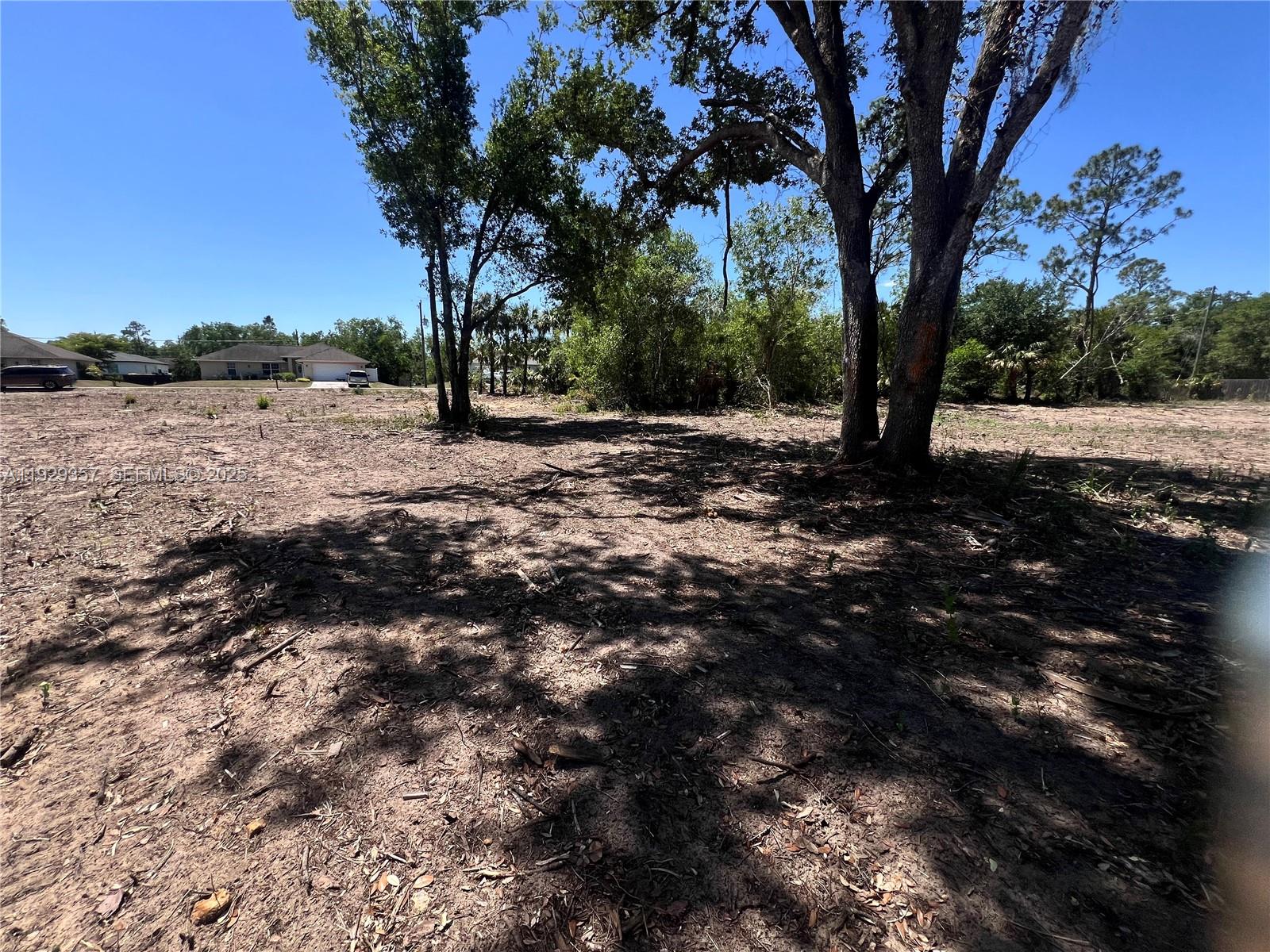Lehigh Acres - Land