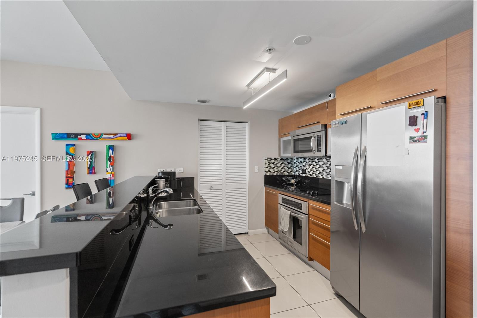 VIZCAYNE NORTH CONDO - Residential