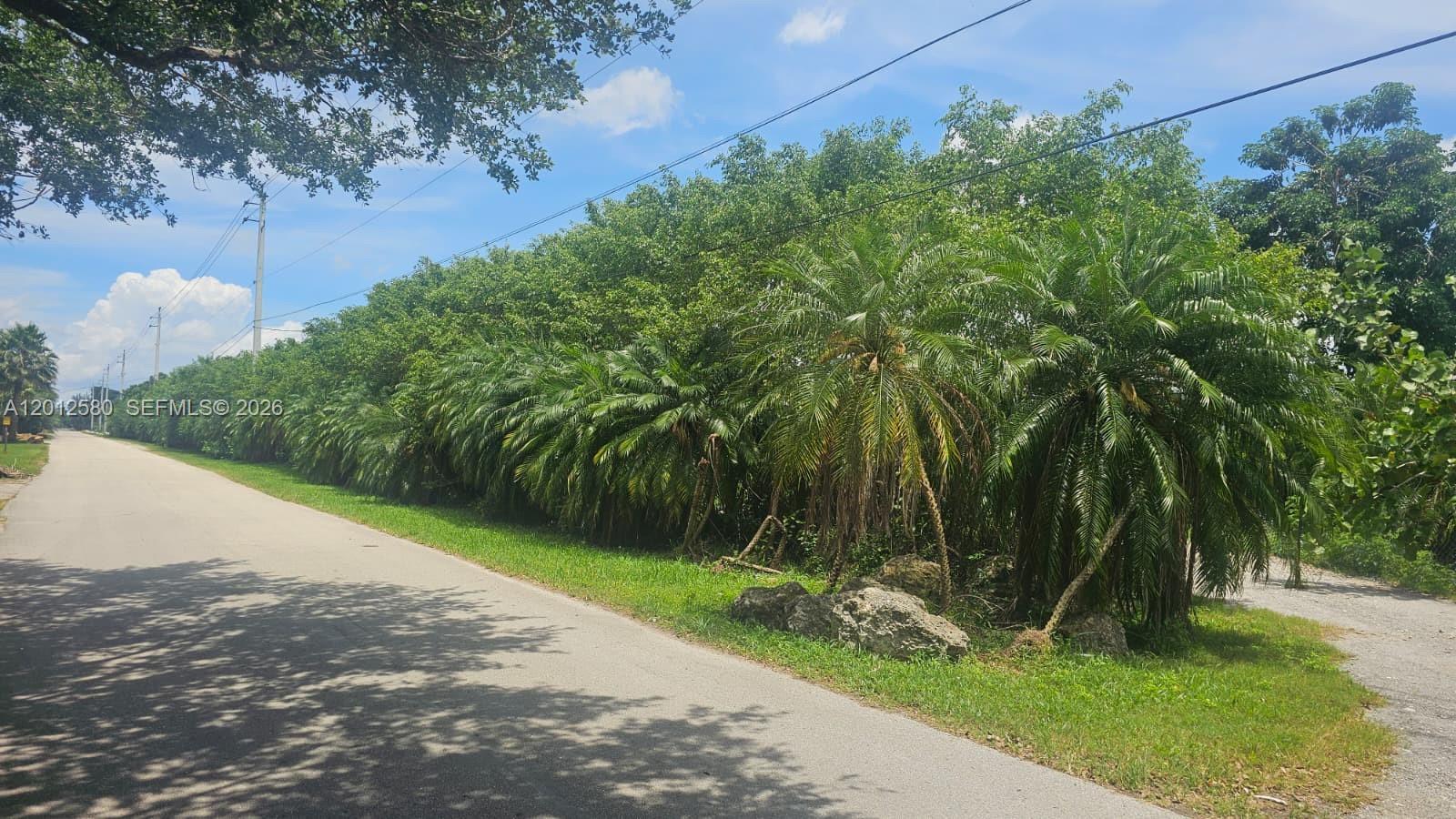 LOTS AND LOTS OF OPPORTUNITIES HERE!!! BUILD YOUR FUTURE DREAM HOUSE/MANSION OR SUBDIVIDE THE LOT AND BUILD (5) MANSIONS. THIS PROPERTY IS ZONED A-1. THIS MEANS THAT IT CAN BE USED FOR AGRICULTURE OR RESIDENTIAL OR BOTH. YOU CAN LIVE IN THE PROPERTY AND OPERATE A BUSINESS. YOU CAN USE THE PROPERTY FOR CONTAINER/EQUIPMENT STORAGE. YOU CAN BUILD WAREHOUSES FOR STORAGE. YOU CAN ALSO OPERATE AGRO-TOURISM VENUES WITH MINI ZOO AND OUTDOOR RESTAURANT.
*** THIS IS A PRIME LOCATION: JUST OFF OF STIRLING ROAD AND VERY CLOSE TO US-27. ***