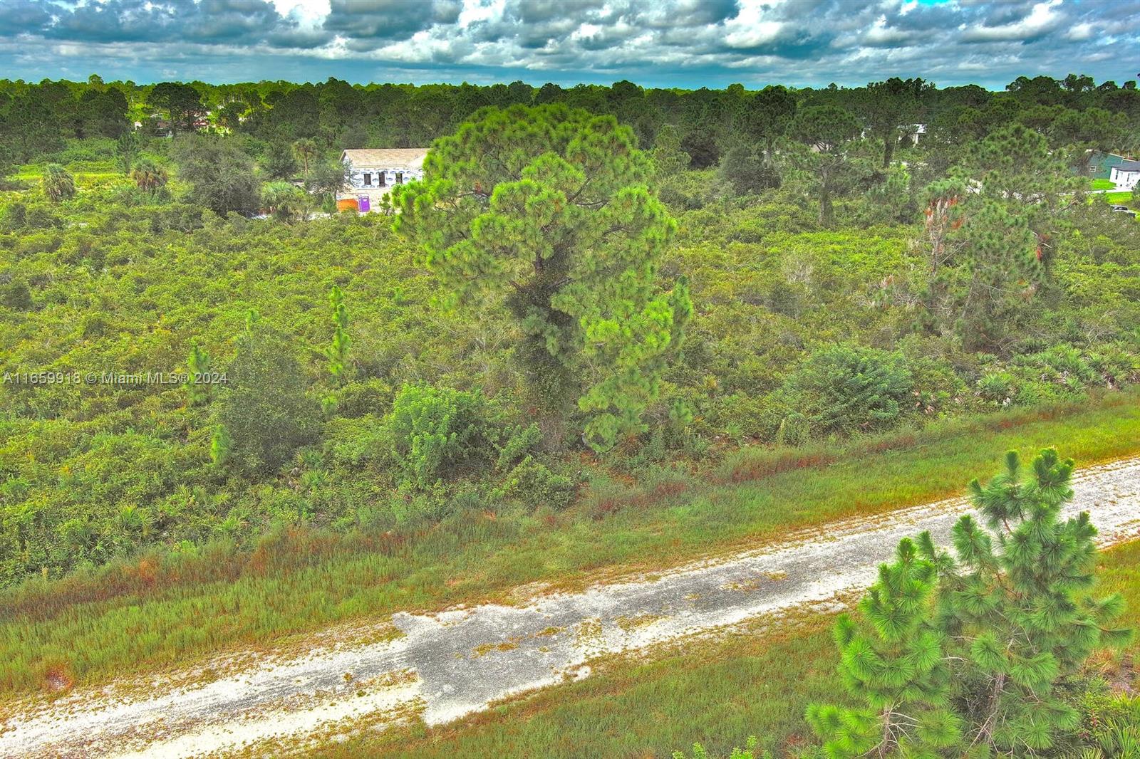 Lehigh Acres - Land