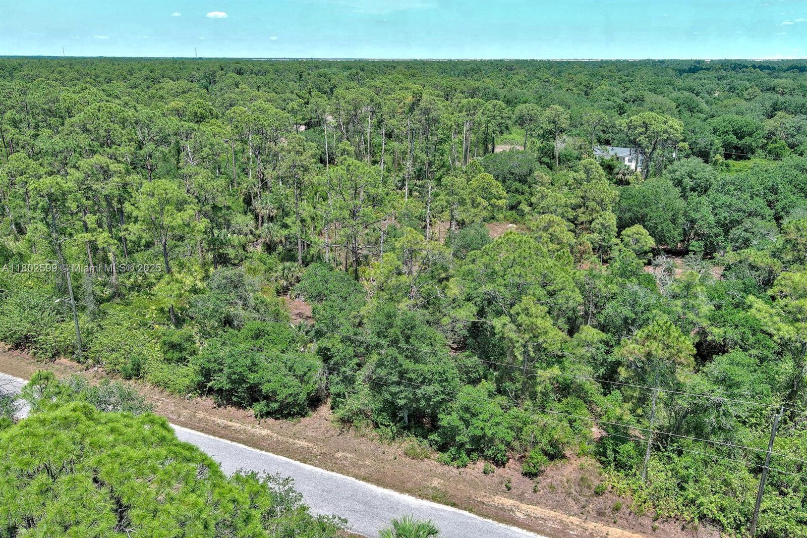 LEHIGH ACRES - Land