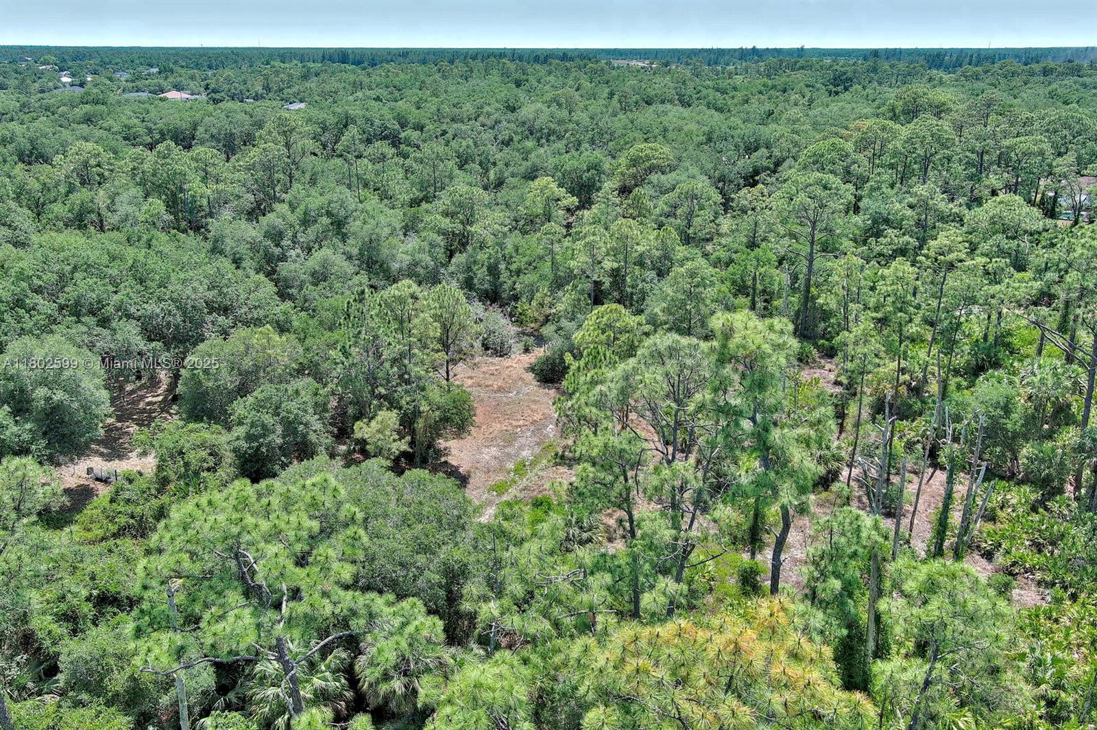 LEHIGH ACRES - Land