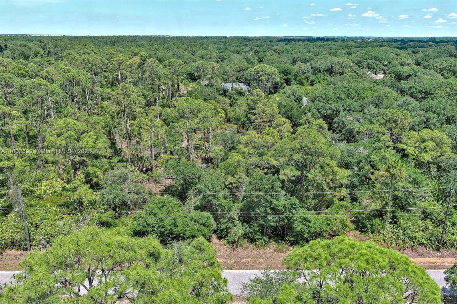 LEHIGH ACRES - Land