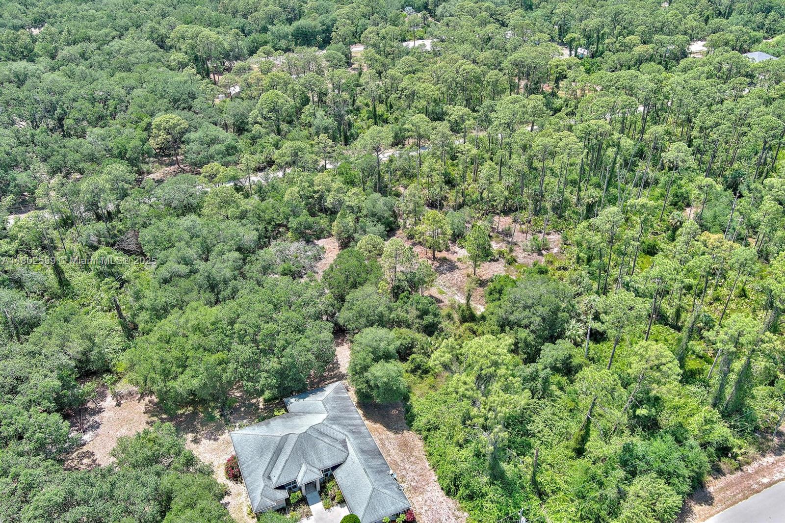 LEHIGH ACRES - Land
