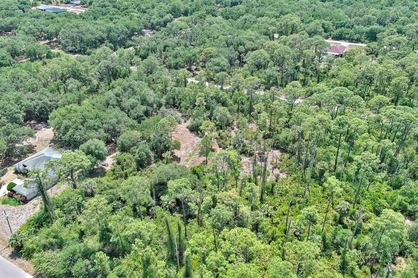 LEHIGH ACRES - Land