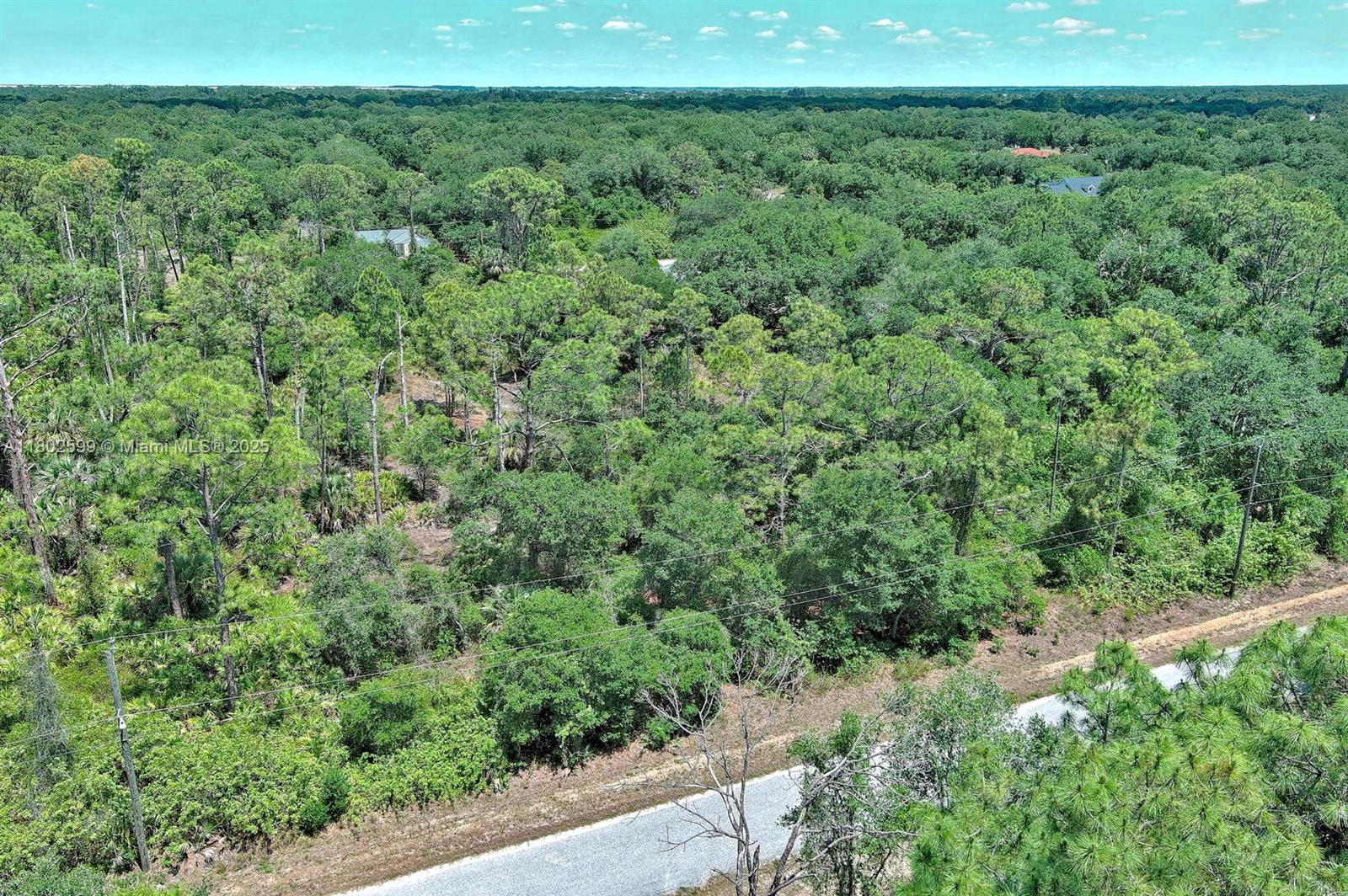 LEHIGH ACRES - Land