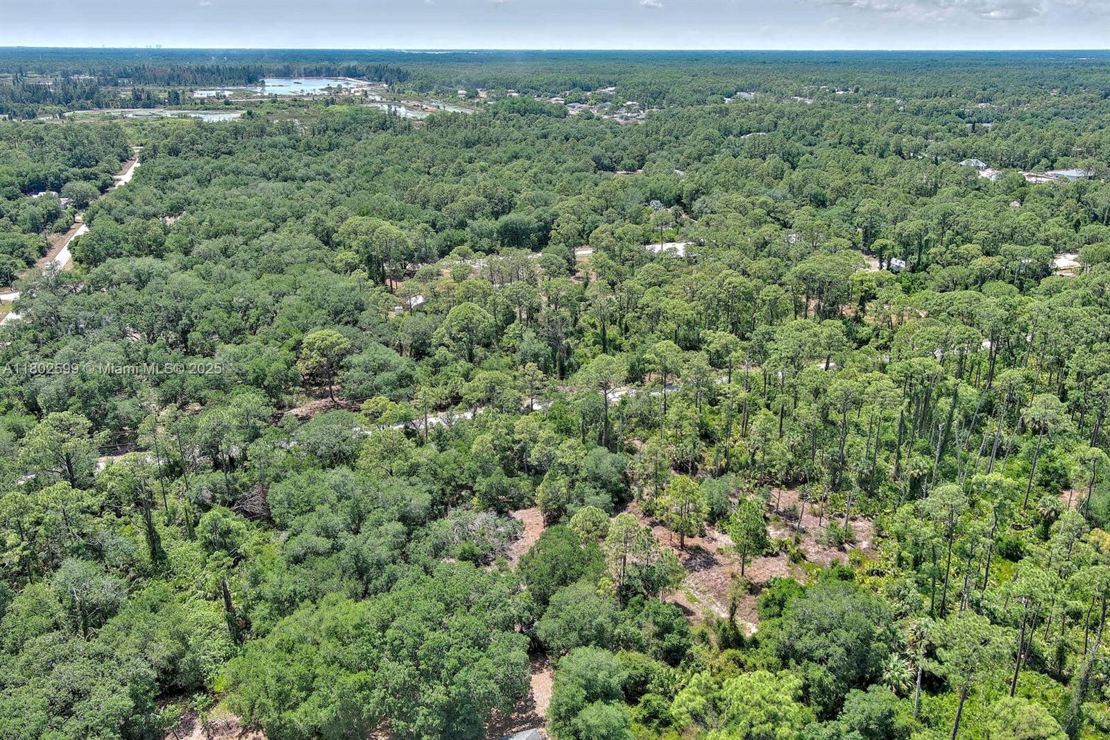 LEHIGH ACRES - Land