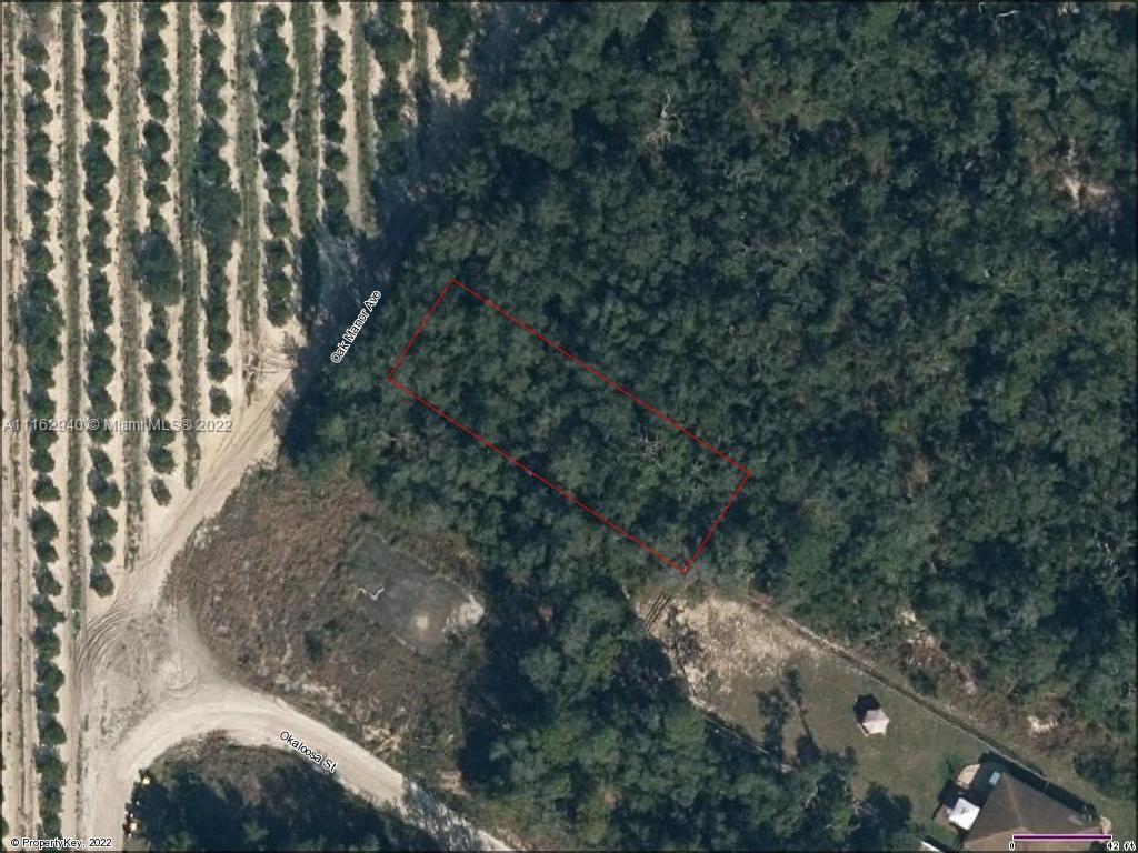Build you home on this residential vacant lot on Northside Sub, Desoto, Sebring, Florida. 
Property Use:
00 / VACANT RESIDENTIAL
Land Use:
SFR (0100)
Zoning: R1
Frontage: 50 ft Depth: 150 ft
Lot Size: 0.1722 acres / 7,500 sf
Waterfront: No
Subdivision:
NORTHSIDE SUB
Census Tract/Block: 961200 / 3109
Twn: 35 / Rng: 29 / Sec: 22
Block: 1530 / Lot: 0130
Neighborhood Code: 1166.00
Latitude: 27.447482
Longitude: -81.407126